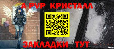 крисы Камышлов