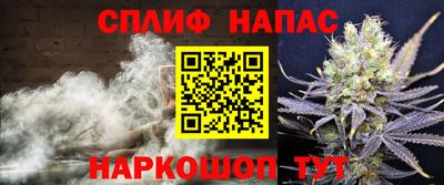 крисы Камышлов