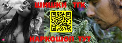 крисы Камышлов