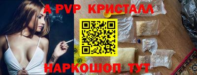 крисы Камышлов