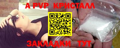 крисы Камышлов