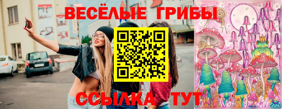 Псилоцибиновые грибы Psilocybine cubensis Долгопрудный